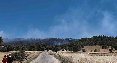 Kütahya'daki orman yangınını söndürme çalışmaları devam ediyor
