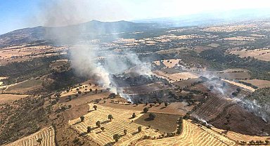 Kütahya'daki yangında 60 hektar ormanlık ve 50 hektarlık ziraat alanı zarar gördü