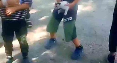 Kuyuda mahsur kalan kedinin yardımına çocuklar yetişti