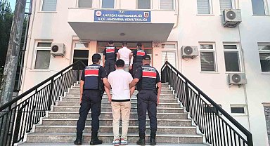 Lapseki'de tarım arazisinde çıkan ormanlık alana sıçrayan yangının sebebi sigara izmariti