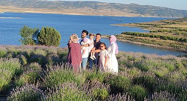 Lavanta bahçeleri fotoğraf platolarına dönüştü