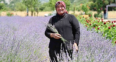 Lavanta Kokulu Hanımağalar