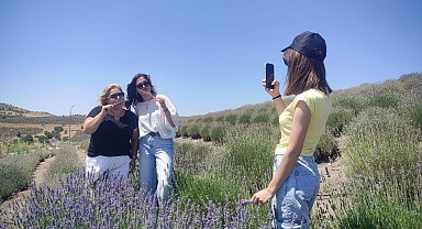 Lavanta tarlalarının mor manzarası eşliğindeki geziye yoğun ilgi