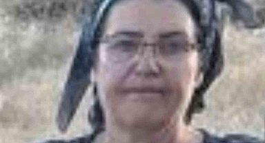 Malatya'da üç çocuk annesi havuzda ölü bulundu