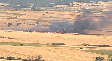 Malkara'da anız yangını: 200 dönüm buğday tarlası kül oldu