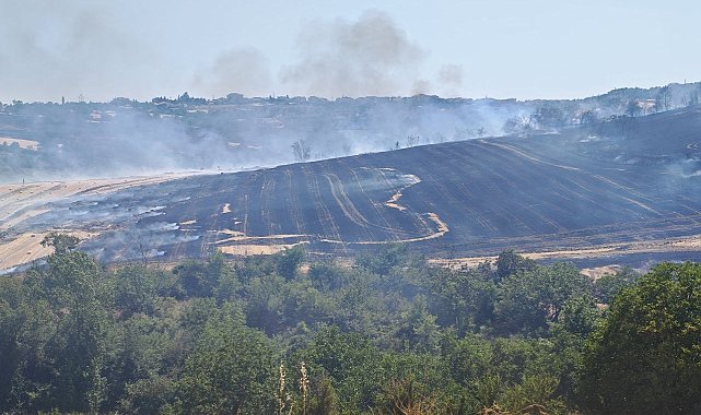Malkara'da anız yangını 200 dönümlük arazide tahribata yol açtı