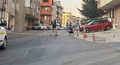 Maltepe'de kamyonetin çarptığı kadın hayatını kaybetti, kaçan şoför yakalandı