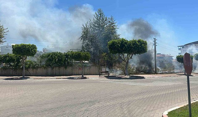 Manavgat'ta çıkan çalılık yangını korkuttu