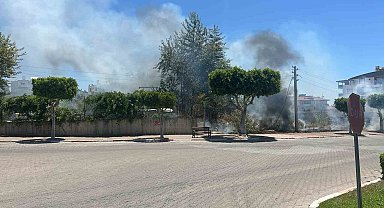 Manavgat'ta çıkan çalılık yangını korkuttu