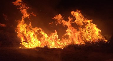 Manavgat'taki yangında 8 dönümlük tarım arazisi zarar gördü