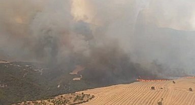 Manisa, Tekirdağ ve Çanakkale'de orman yangınlarına yoğun müdahale