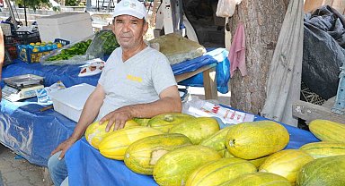 Manisa'da Altınbaş Kavununda hasat başladı