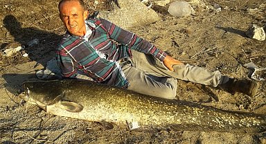 Manisa'da boyu kadar balık yakaladı