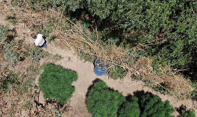 Manisa'da jandarmadan büyük uyuşturucu operasyonu