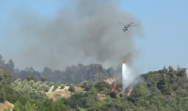 Manisa'daki alevlere 5 uçak ve 7 helikopterle müdahale