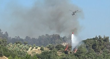 Manisa'daki alevlere 5 uçak ve 7 helikopterle müdahale
