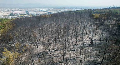 Manisa'daki orman yangını kontrol altına alındı