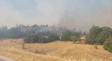 Manisa'daki orman yangınları devam ediyor