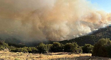 Manisa'daki yangın Uşak'a doğru ilerliyor