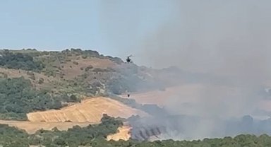 Manyas'ta orman yangını: Havadan müdahale sürüyor