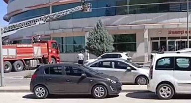 Mardin'de hastanenin dış cephesinde mahsur kalan kedi kurtarıldı