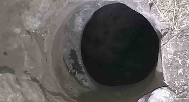 Mardin'de kuyuya düşen keçi kurtarıldı