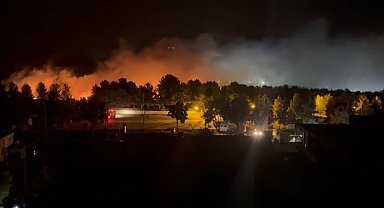 Mardin'de orman yangını