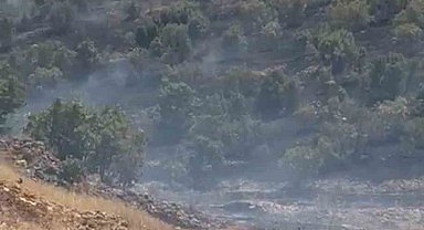 Mardin'de örtü yangını kontrol altına alındı
