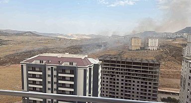 Mardin'de otluk alanda çıkan yangın söndürüldü