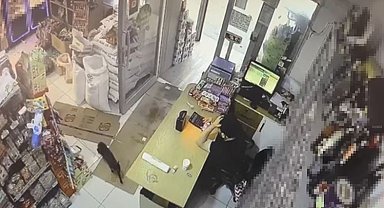 Markette kutuyu hareket ettiren kedi panik yaşattı: O anlar kamera yansıdı