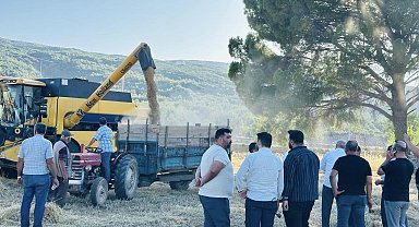 Menteşe'de buğday hasadında sona yaklaşıldı: 7 bin ton rekolte bekleniyor