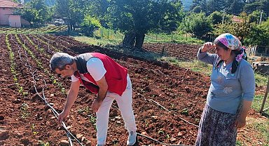 Menteşe'de tarım ekiplerinden ürün kontrolü ve çiftçi ziyareti gerçekleştirildi