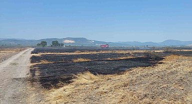 Merada çıkan yangında 200 dekar alan etkilendi