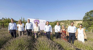Mersin'de '7. Lavanta Hasat Şenliği' düzenlendi