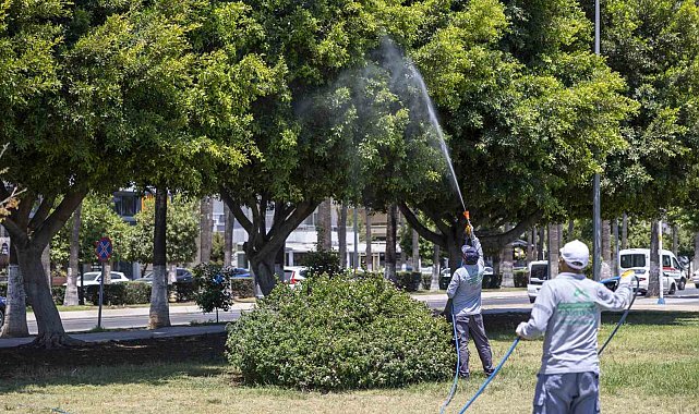 Mersin'de yaz boyunca kesintisiz ilaçlama
