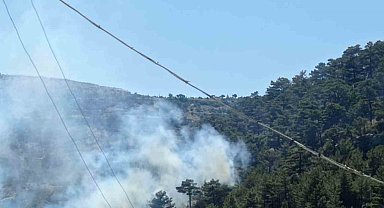 Mersin'deki orman yangını kontrol altına alındı