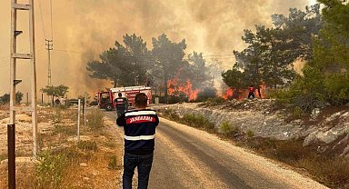 Mersin'deki orman yangınında jandarma ekipleri aktif rol aldı