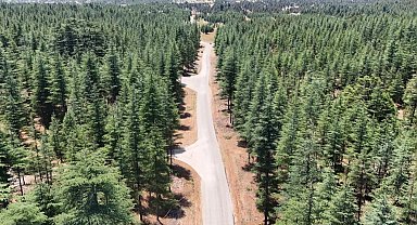 Mersin'in dağ yoluna asfalt dokunuşu