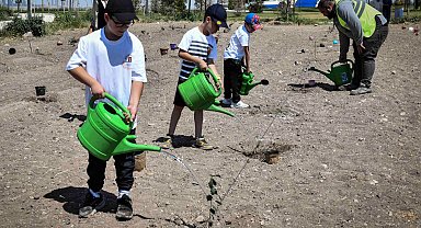 Meşe palamutları Ata Çiftliği'nde doğayla buluştu