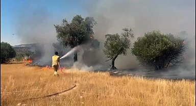 Milas Pınarcık ve Demirciler yangını kontrol altına alındı