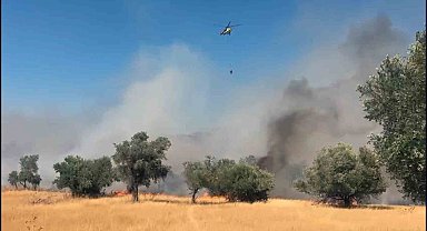 Milas Pınarcık yangınına 5 helikopter 4 uçak müdahale ediyor