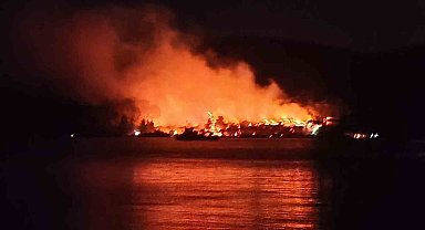 Milas'ta orman yangını