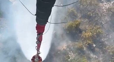 Milas'ta orman yangını