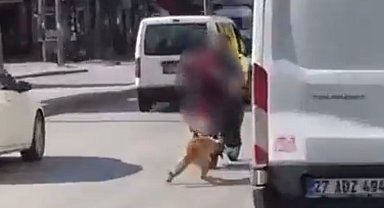 Motosikletin arkasına bağladıkları köpeği sürükleyerek götürdüler