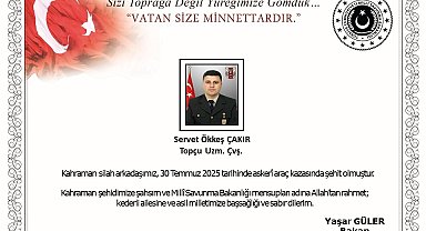 MSB: Edirne'de meydana gelen araç kazasında 1 asker şehit oldu