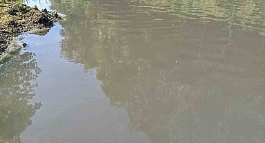 Mudurnu Deresi'nde endişe veren kirlilik