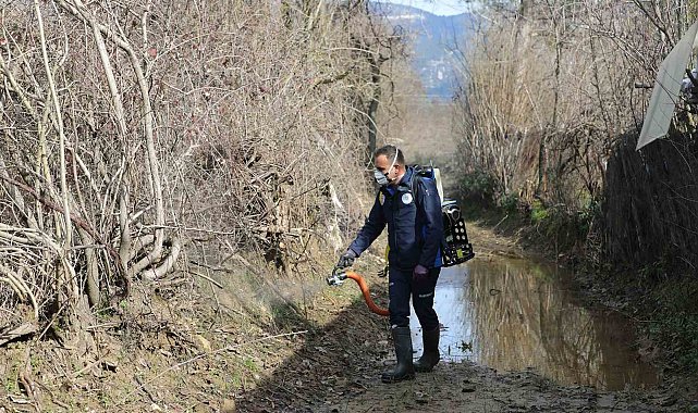Muğla Büyükşehir'den 13 ilçede vektörle mücadele