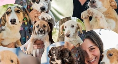 Muğla Milas'ta sevgi dolu yuvalar aranıyor