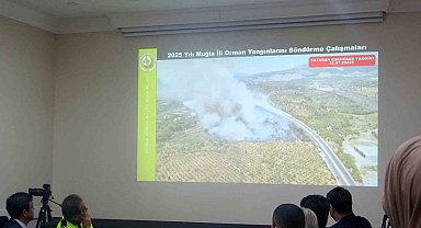 Muğla Orman Bölge Müdürü Ülküdür: "Yangınların yüzde 88'i insan kaynaklı"