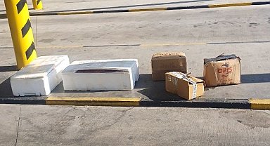 Muğla otobüs terminalinde sahipsiz midyelere el konuldu
